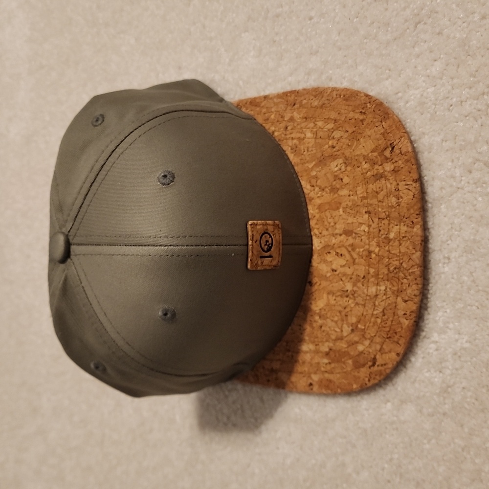 Tentree cap